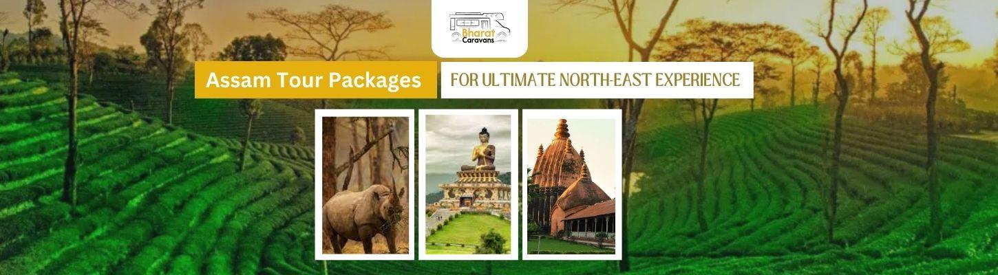 Assam Tour Packages for Ultimate North-East Experience